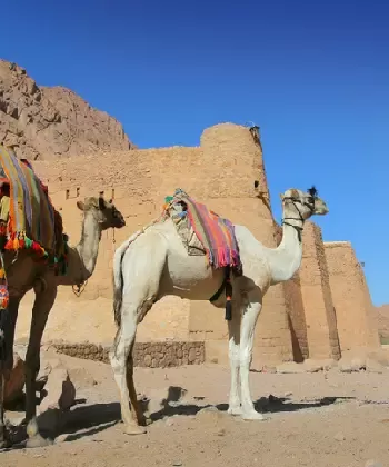 Excursão ao Monte Sinai 5 Dias